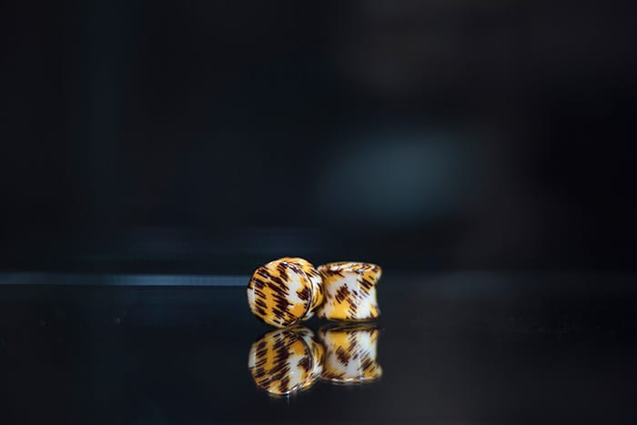 Dilatador acrílico piel de tigre