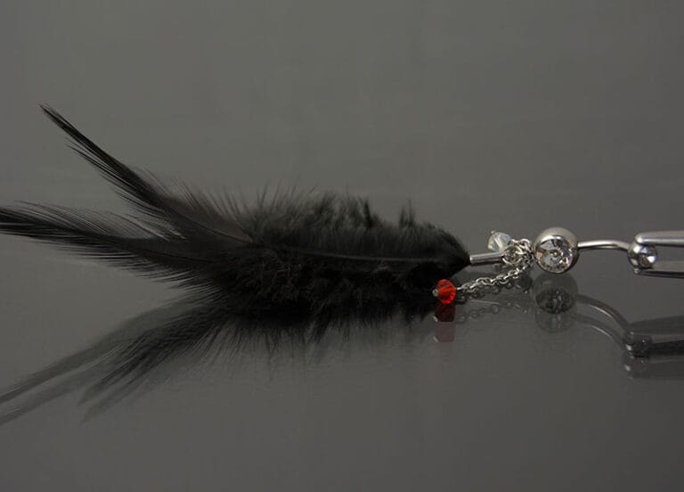 Navel acero joya cristal transparente colgante pluma