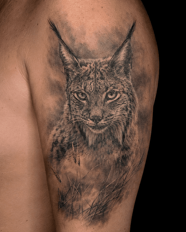 tatuaje lince